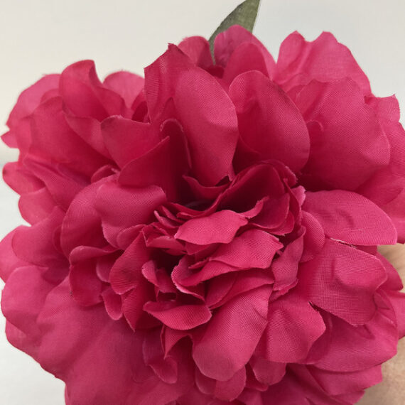 Peonias